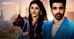 Kaise Mujhe Tum Mil Gaye-apnetvmovie.com