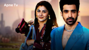 Kaise Mujhe Tum Mil Gaye-apnetvmovie.com